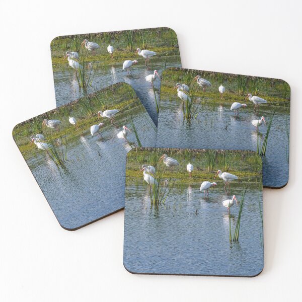 Item preview, Congregation of Ibis In the Wetlands designed and sold by Debra Martz.