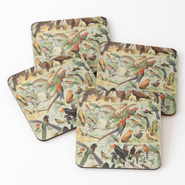 Item preview, Birds (1907-1910) - Le Larousse pour tous designed and sold by SALON DES ARTS.