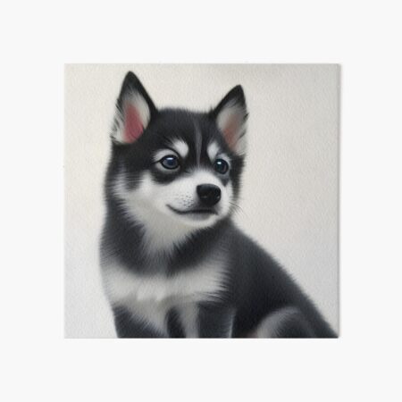 AI generative Alaskan Klee Kai breed dog isolated on a white background  27537240 Stock Photo at Vecteezy