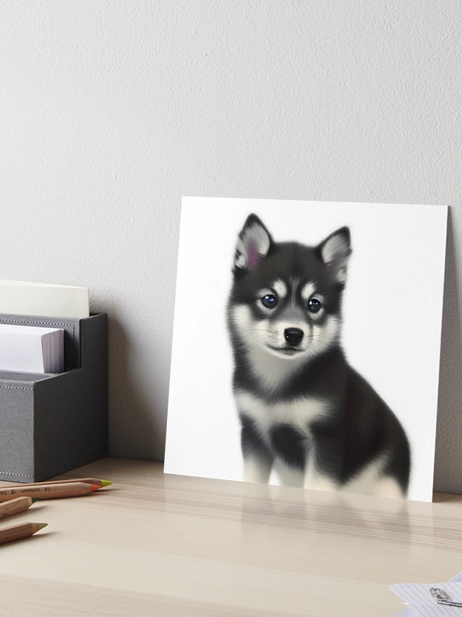 AI generative Alaskan Klee Kai breed dog isolated on a white background  27537240 Stock Photo at Vecteezy