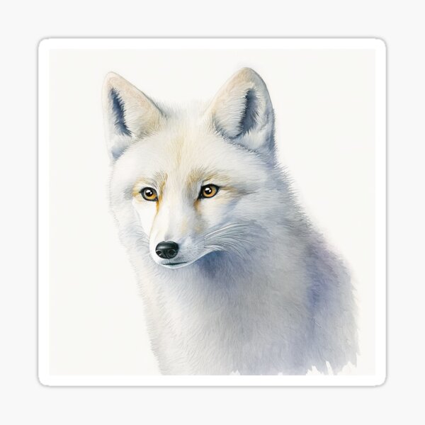 JB Gill Signed Arctic Fox Prints — Creature Candy