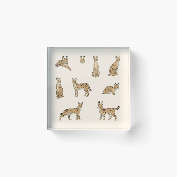 Item preview, Serval cat illustration pack designed and sold by Yarafantasyart.