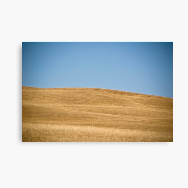 My Wealth Canvas Print