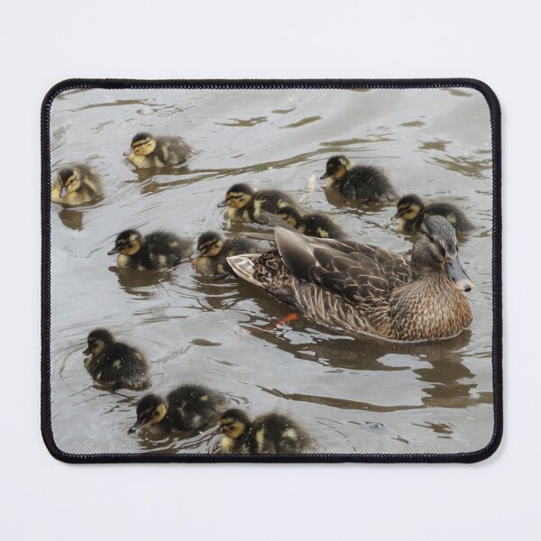 Item preview, Female Mallard with lots of baby ducklings designed and sold by TwistedClassics.