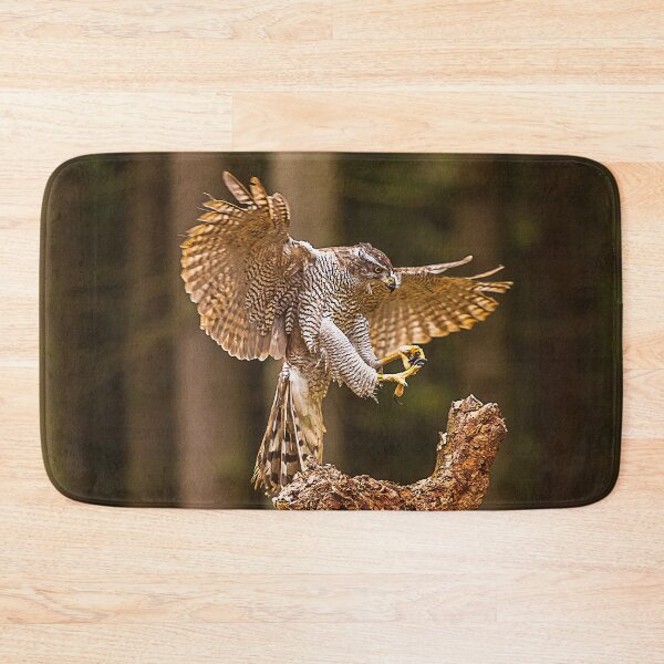 Item preview, Northern Goshawk I designed and sold by Alius Imago.