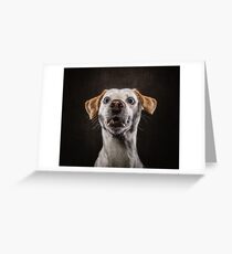 Dog Greeting Card