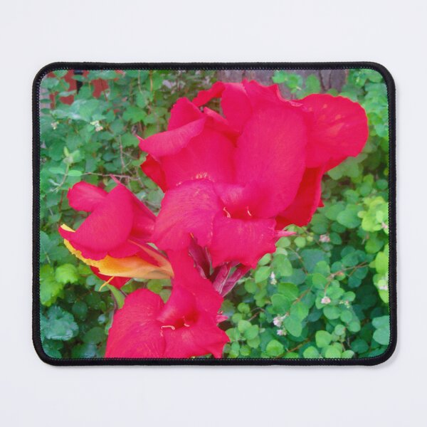 Item preview, Red Flower designed and sold by Shulie1.