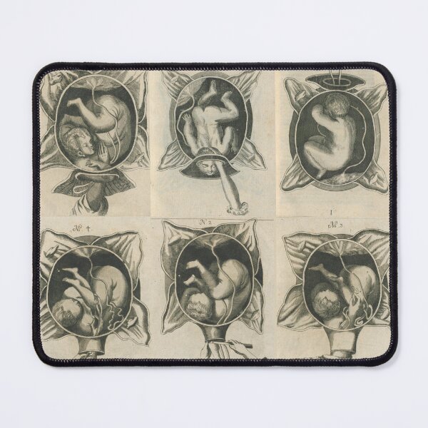 Item preview, Justine Siegemund - Court Midwife Illustrations Plate - Pregnancy, Birth, Motherhood, Prolife designed and sold by Vintage-TM.