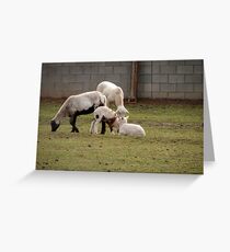 Family Dinner Greeting Card