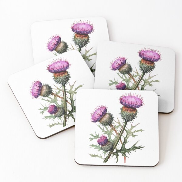 Item preview, Scottish thistle flowers designed and sold by iclipart.