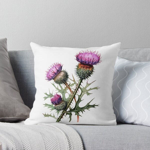 Item preview, Scottish thistle flowers designed and sold by iclipart.