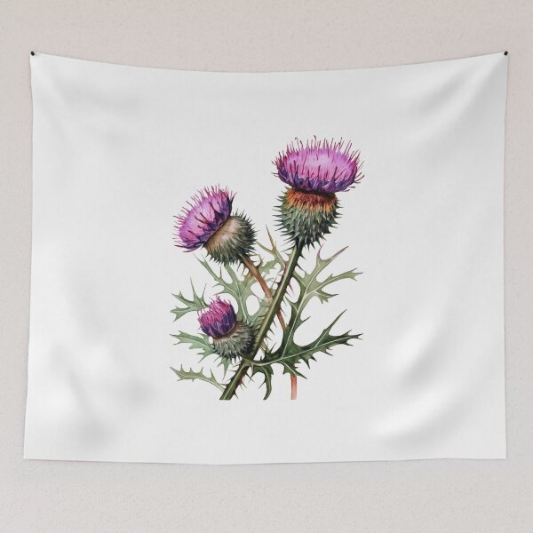 Item preview, Scottish thistle flowers designed and sold by iclipart.