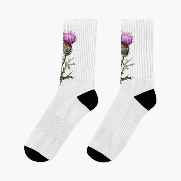 Item preview, Scottish thistle flowers designed and sold by iclipart.