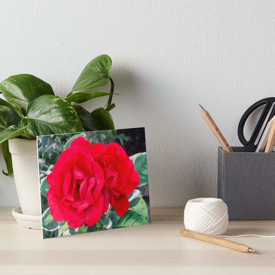 Item preview, Art Board Print designed and sold by Shulie1.