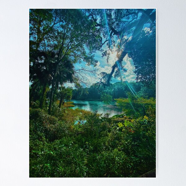 Pitstop at Rainbow Springs. Poster