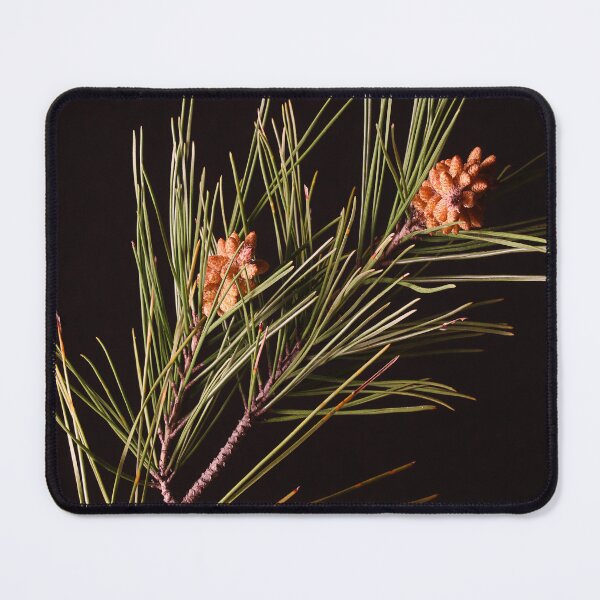 Item preview, Pine cones. designed and sold by Paul Pasco.