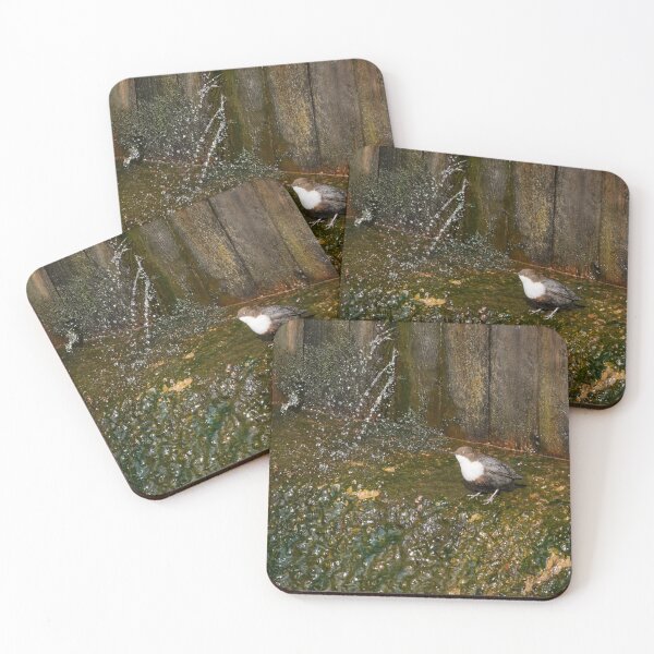 Item preview, By the green shower. White-throated dipper designed and sold by Jouko Lehto Photography.