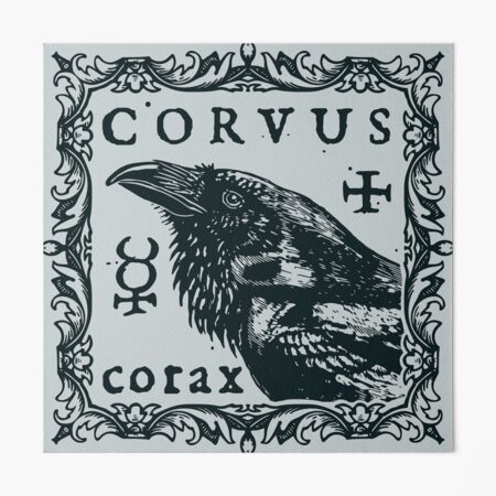 Raven - Names for Groups of Ravens Pet Bandana for Sale by haggisvitae