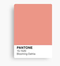 Blühende Dahlie Pantone Leinwanddruck