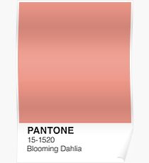 Blühende Dahlie Pantone Poster