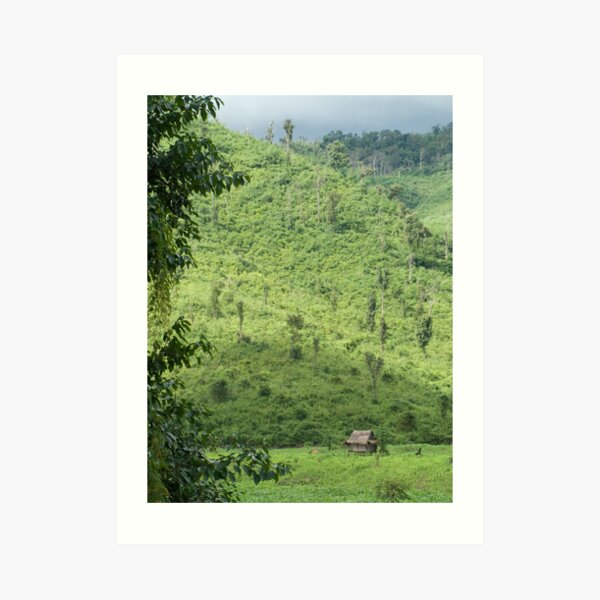 Laotian field hut Art Print
