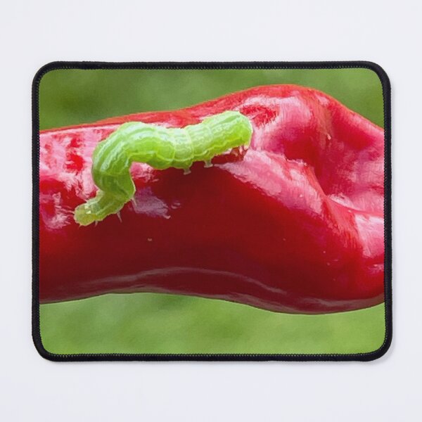 Item preview, Inch Worm designed and sold by neldamays.