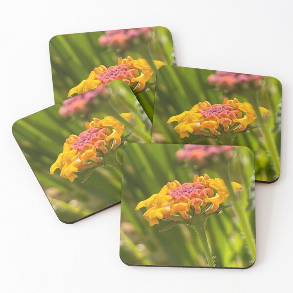 Item preview, MilkWeed designed and sold by neldamays.