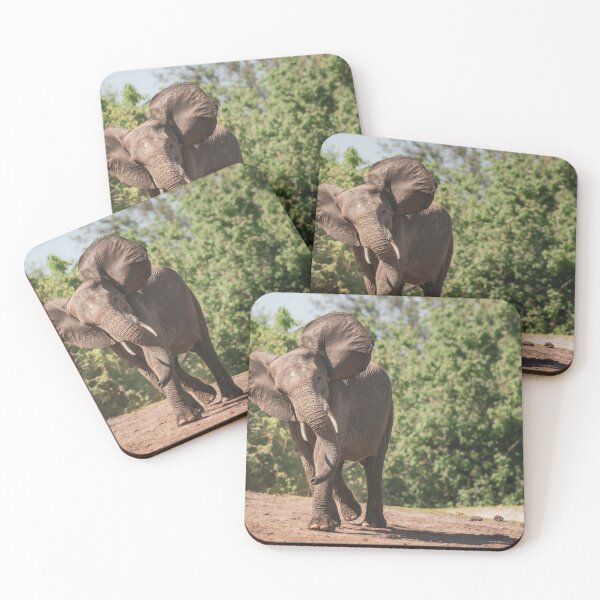 Item preview, Elephant Running Botswana Africa designed and sold by PhotoArt by Joan Carroll.