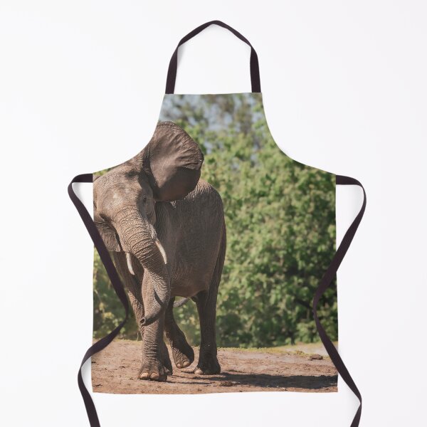 Item preview, Elephant Running Botswana Africa designed and sold by PhotoArt by Joan Carroll.