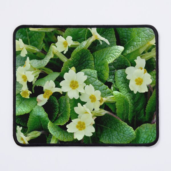Item preview, Primroses designed and sold by Violaman.