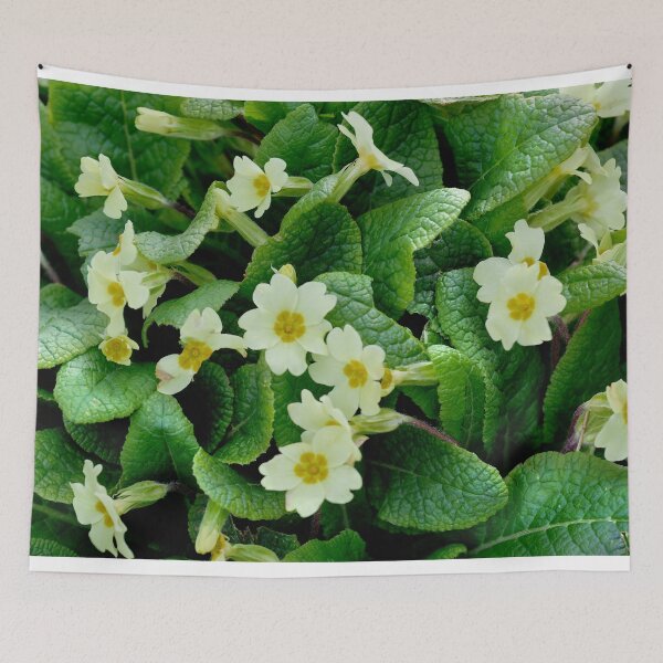 Item preview, Primroses designed and sold by Violaman.