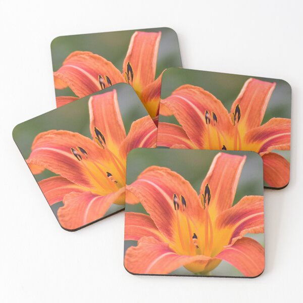 Item preview, Orange Lily  designed and sold by Louise-Mae.
