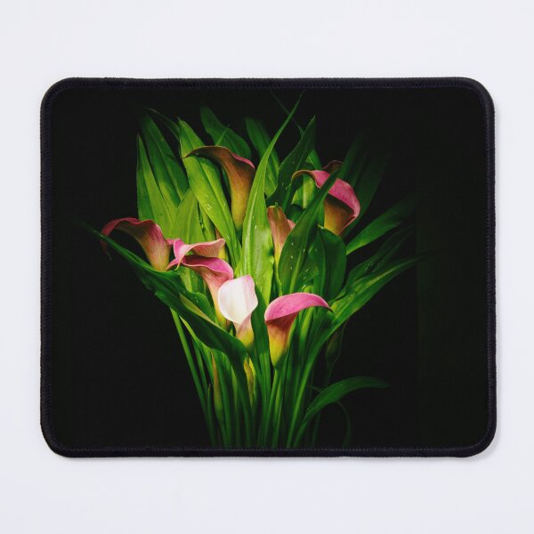 Item preview, Zantedeschia II designed and sold by clayton-art.