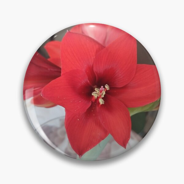 Item preview, Love blooms like a flower designed and sold by Djfraser96.