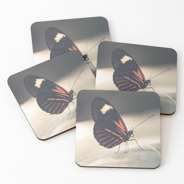 Item preview, Softly Now l Butterfly Photography designed and sold by KEnzPhotography.