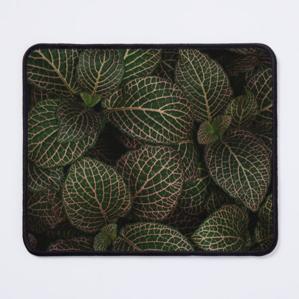 Item preview, Nerve Plant, Lincoln Park Conservatory designed and sold by aandreareyes.