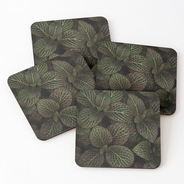 Item preview, Nerve Plant, Lincoln Park Conservatory designed and sold by aandreareyes.