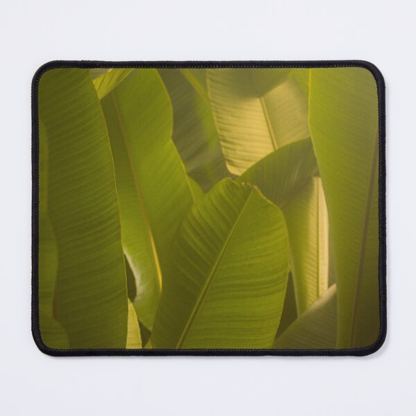 Item preview, Palm 1, Lincoln Park Conservatory designed and sold by aandreareyes.