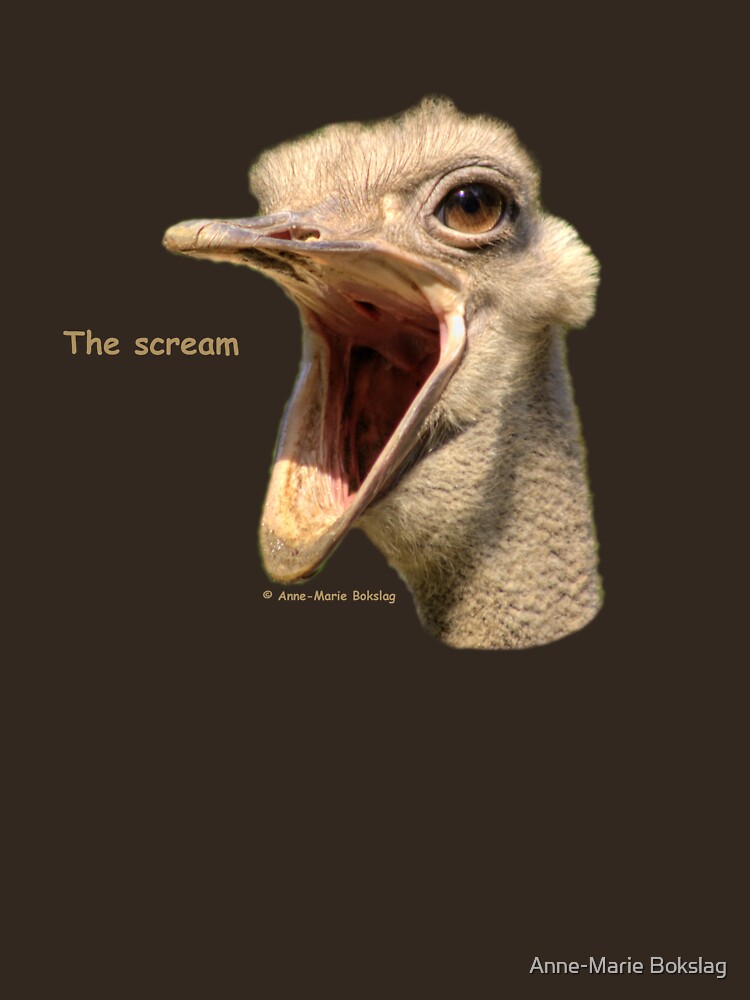 The scream by amb1946