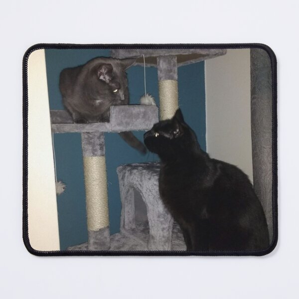 Item preview, #273 |☼| Couple O' Cats On Climber - Mimi & Alfie (Cats) designed and sold by Naean H.F. (Nez Man).