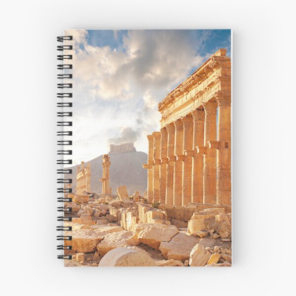 Item preview, The reflection of the sun on the archaeological columns of the city of Palmyra  designed and sold by  Bride of the desert.