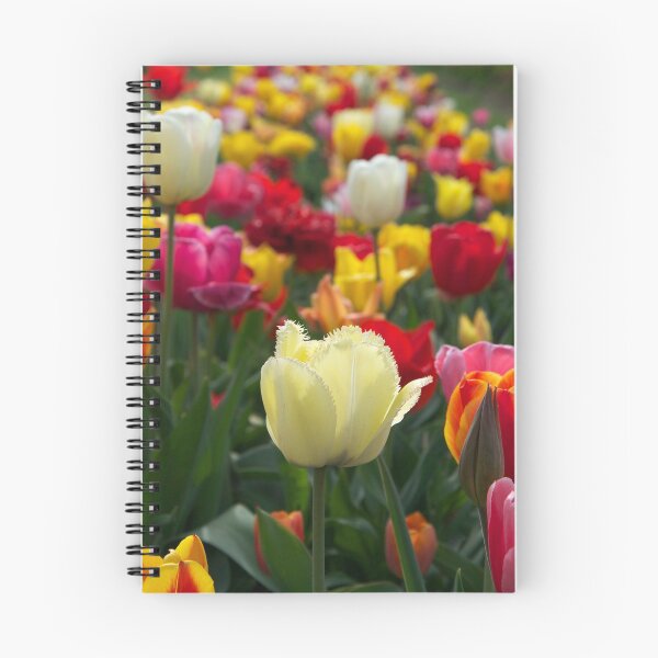 Item preview, Tulip Garden 03 designed and sold by JordynAlison.