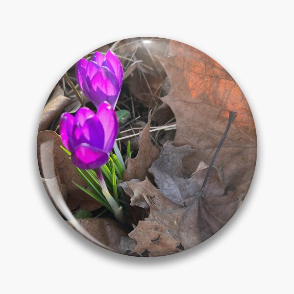 Artikelvorschau, Leuchtender Krokus Frühling 2023 entworfen und verkauft von TherapeuticNest.