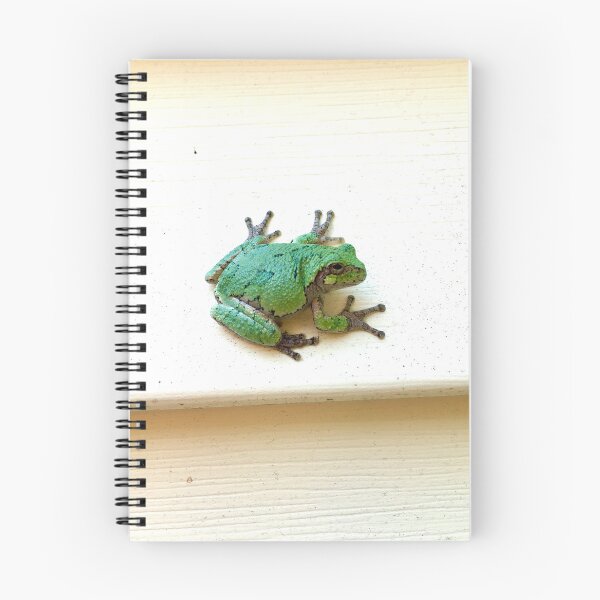 Item preview, Angel Tree Frog designed and sold by turddemon.
