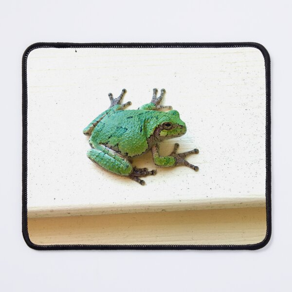 Item preview, Angel Tree Frog designed and sold by turddemon.