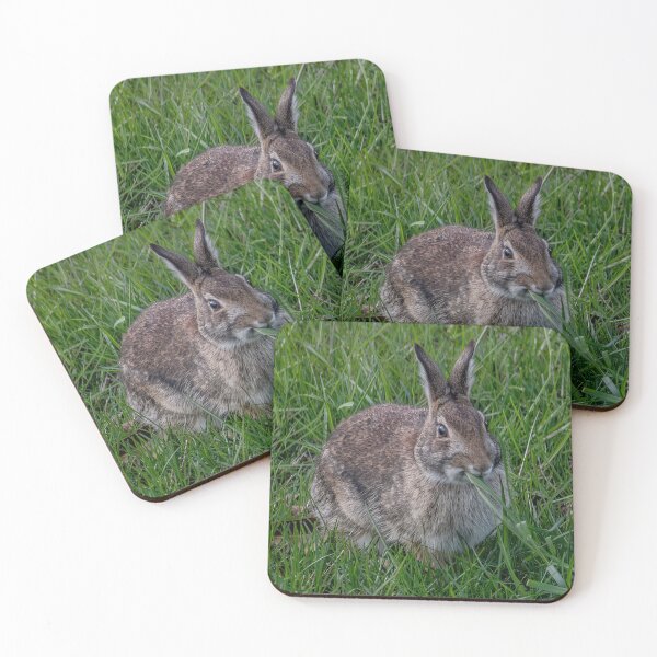 Item preview, Backyard Bunny  designed and sold by Lanis Rossi.
