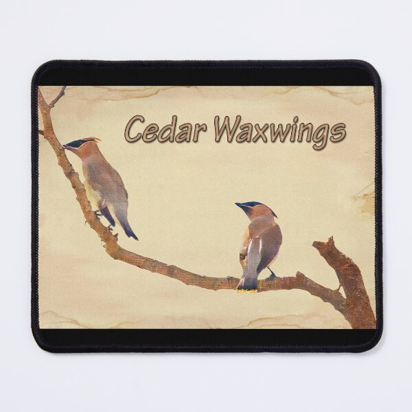 Item preview, Cedar Waxwings designed and sold by CarolM.