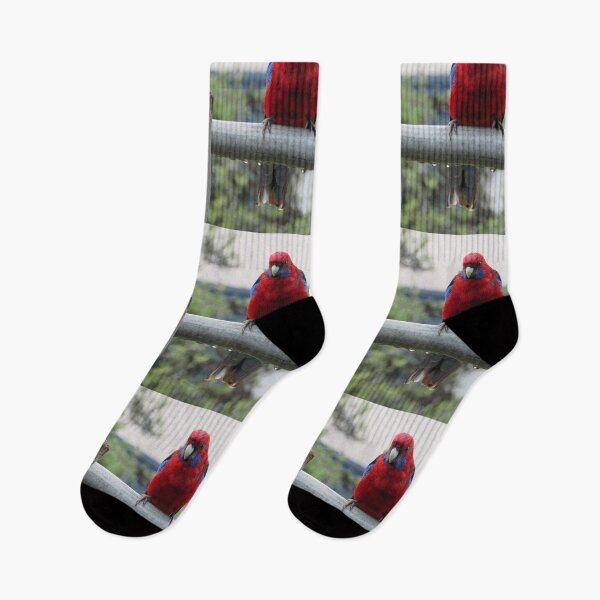 Item preview, Crimson Rosella Parrot  designed and sold by StephanieWie27.