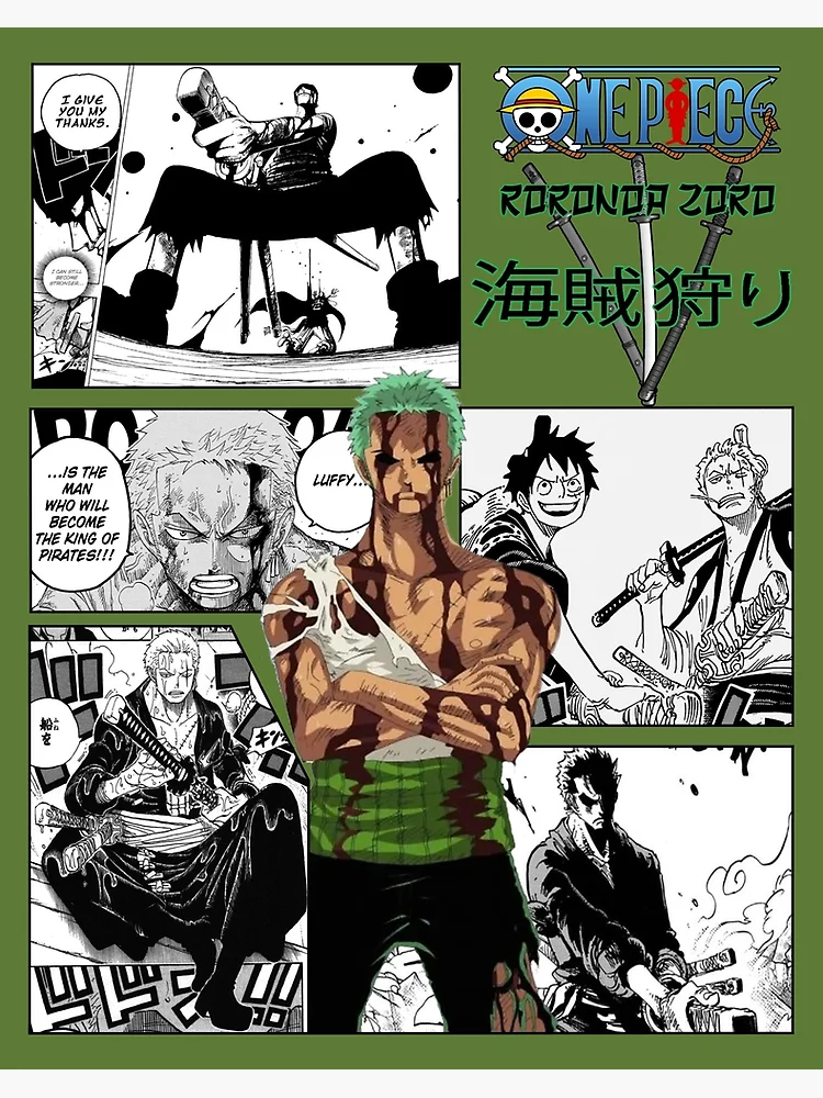 Roronoa Zoro  One piece manga, One piece comic, Zoro one piece