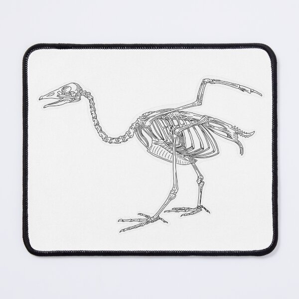 Item preview, Goose Skeleton designed and sold by Spirit-witch.